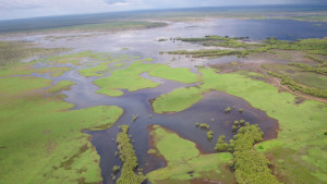 darwin scenic wetlands